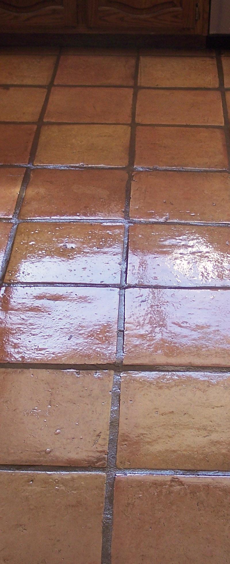 Desert Tile & Grout Care portfolio